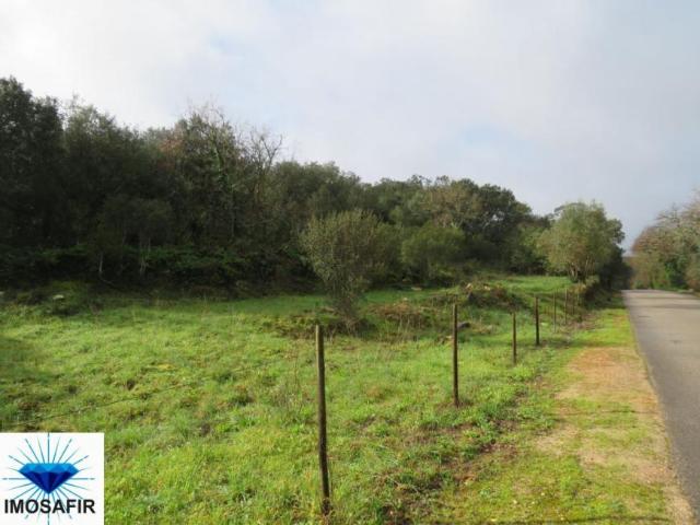 Terreno venda em Rego Da Murta, Santarém