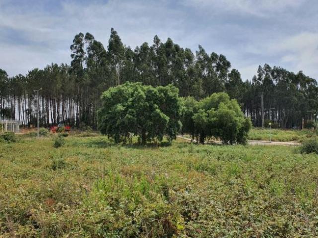 Casa venda em Rego Da Murta, Santarém