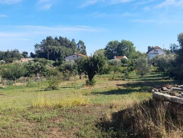 Terreno venda em Rego Da Murta, Santarém