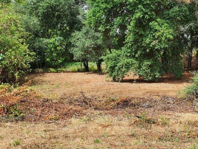 Terreno venda em Rego Da Murta, Santarém
