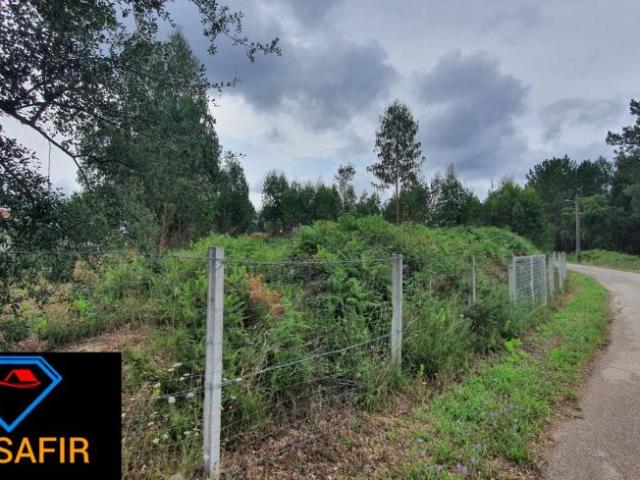 Terreno venda em Rego Da Murta, Santarém