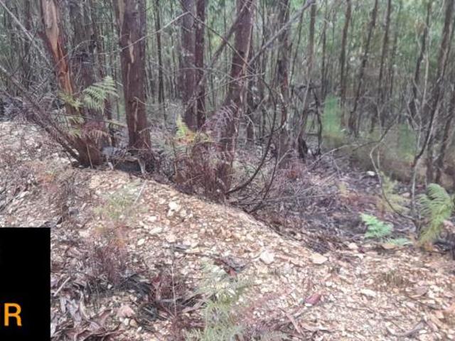 Terreno venda em Rego Da Murta, Santarém