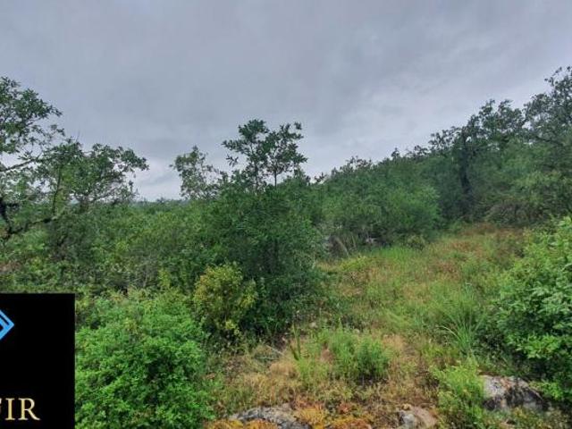 Terreno venda em Ovelheiras, Rego Da Murta