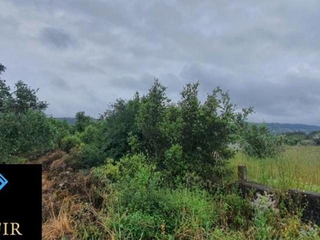 Terreno venda em Rego Da Murta, Santarém