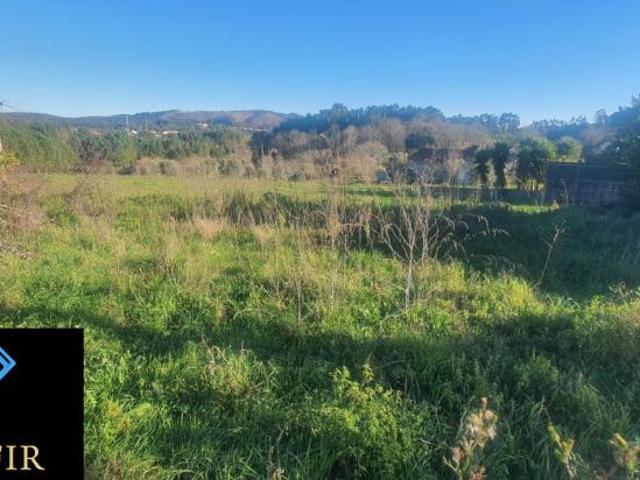 Terreno venda em Rego Da Murta, Santarém