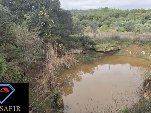 Terreno venda em Rego Da Murta, Santarém