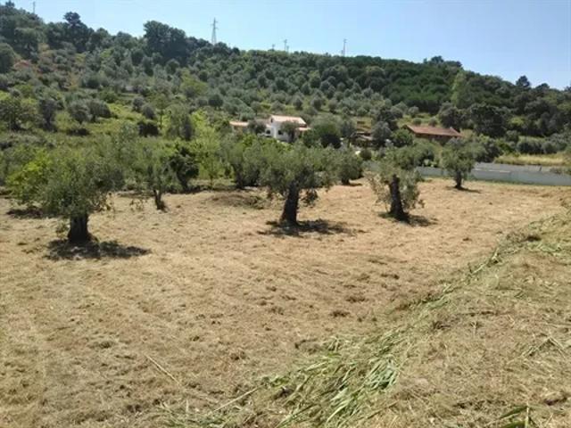 Terreno venda em Santarém dos Tojos, Ourém
