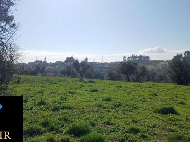 Terreno venda em Ourém, Santarém