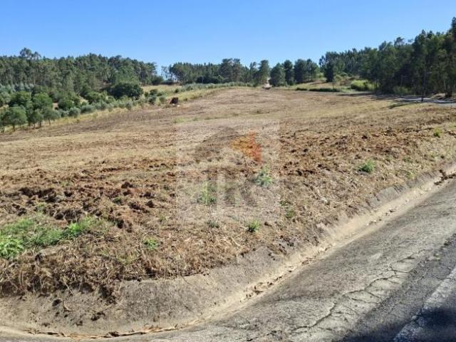 Terreno venda em Rio Maior, Santarém