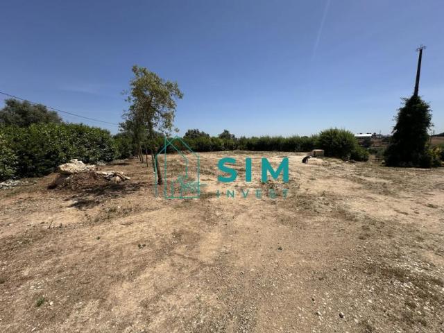 Terreno venda em Rio Maior, Santarém