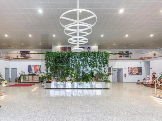 Loja venda em Santarém