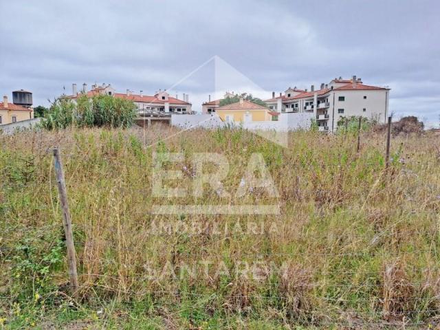 Terreno venda em Santarém