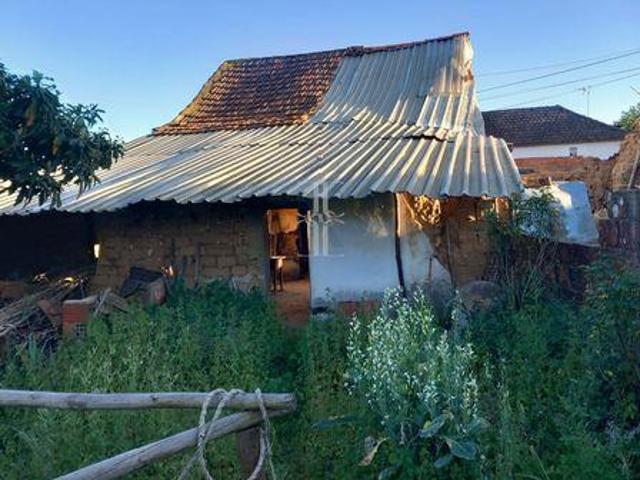 Terreno venda em Santarém