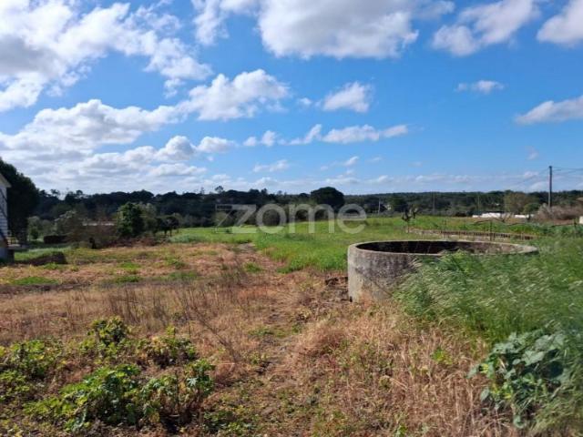 Terreno venda em Santarém