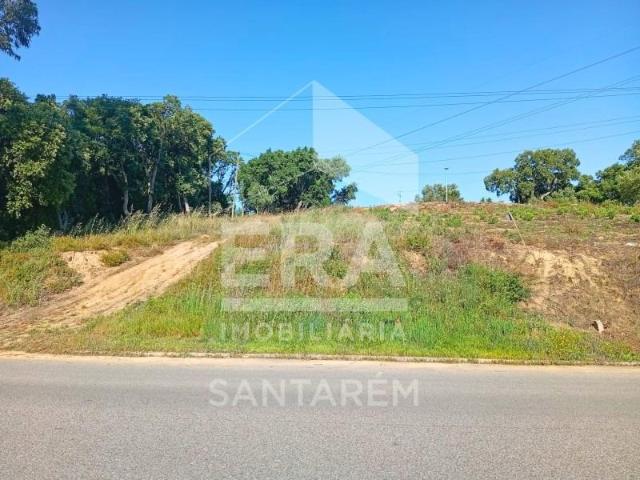Terreno venda em Santarém