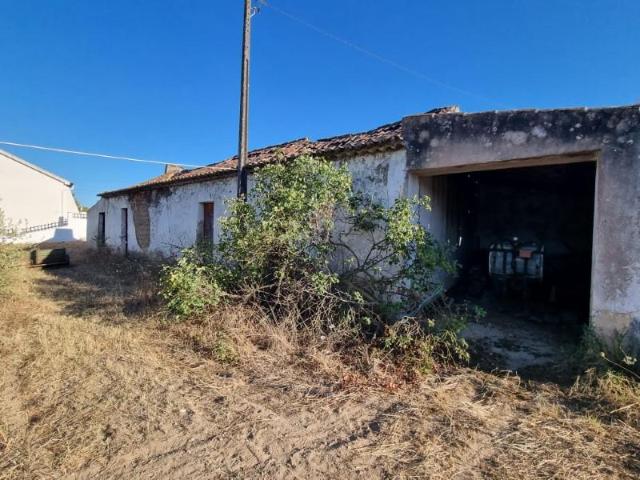 Terreno venda em Santarém