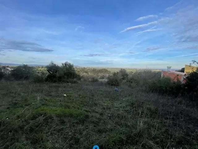 Terreno venda em Santarém