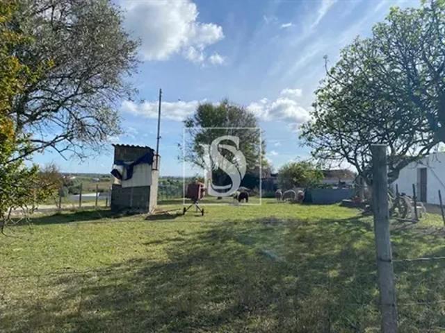 Terreno venda em Santarém