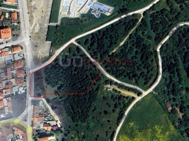 Terreno venda em Santarém