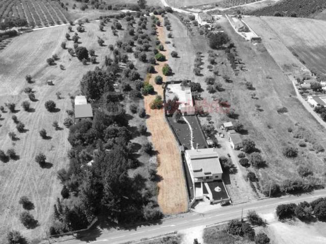 Terreno venda em Santarém