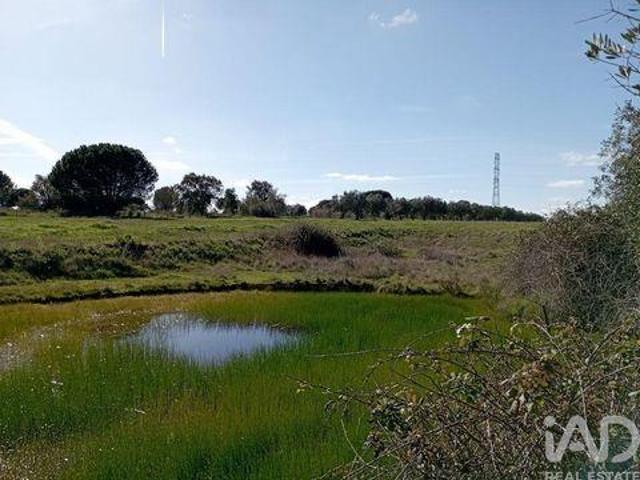 Terreno venda em Santarém