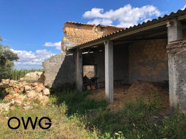 Terreno venda em Santarém
