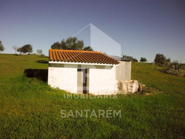 Terreno venda em Santarém