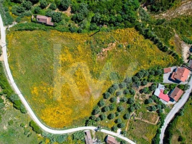 Terreno venda em Santarém
