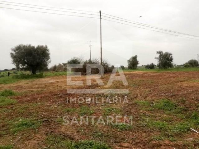 Terreno venda em Arneiro dos Borralhos, Santarém