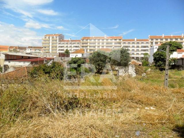Terreno venda em Santarém