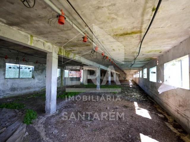 Casa venda em Arneiro dos Borralhos, Santarém