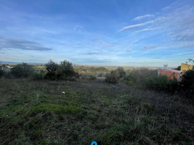 Terreno venda em Santarém
