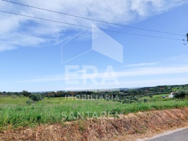 Terreno venda em Casais de Asseiceira, Santarém