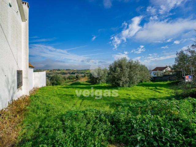 Terreno venda em Santarém
