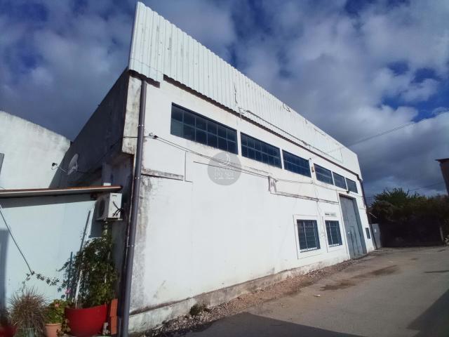 Loja venda em Santarém