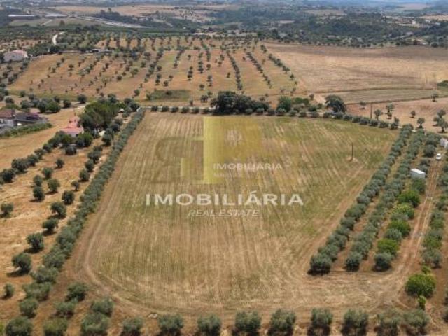 Terreno venda em Santarém