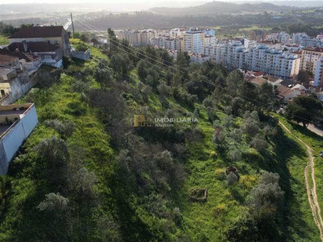 Terreno venda em Santarém