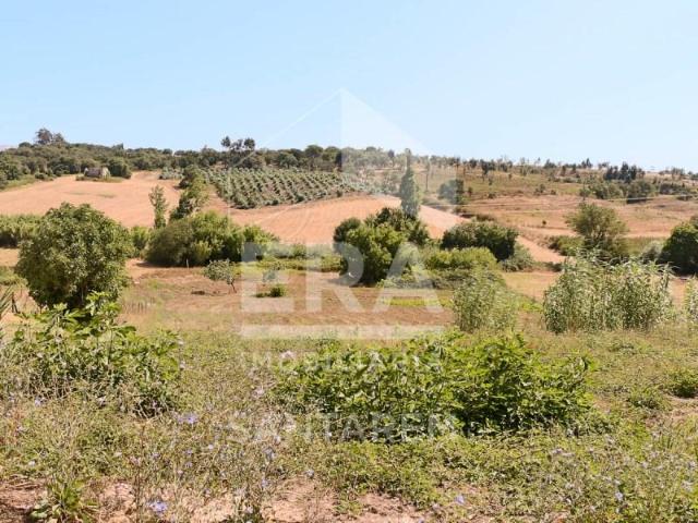 Terreno venda em Golegã, Santarém