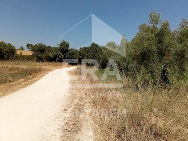 Terreno venda em Verdelho, Santarém