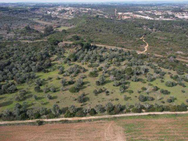 Terreno venda em Santarém