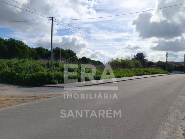 Terreno venda em Santarém