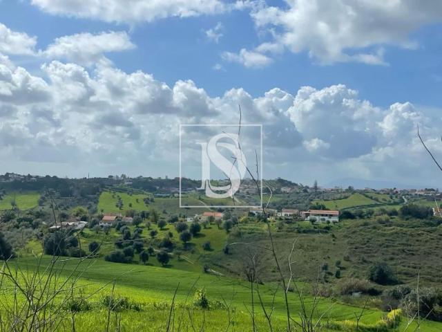 Terreno venda em Santarém