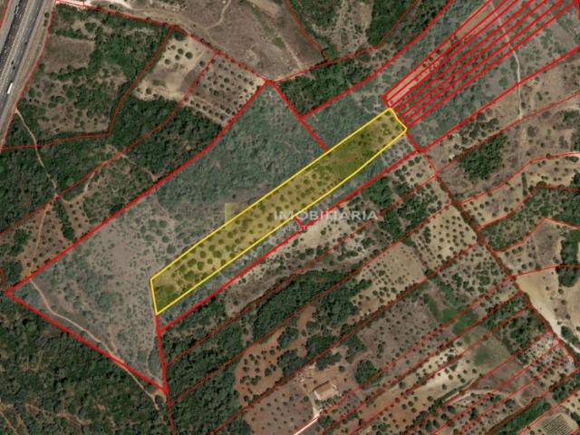 Terreno venda em Santarém