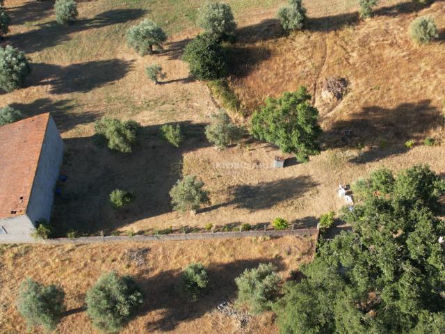 Terreno venda em Santarém