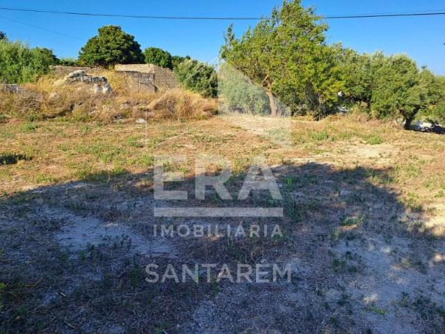 Terreno venda em Arneiro dos Borralhos, Santarém