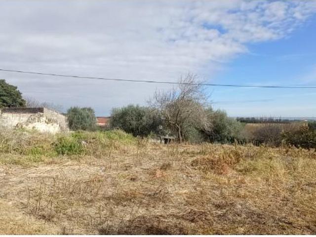 Casa venda em Santarém