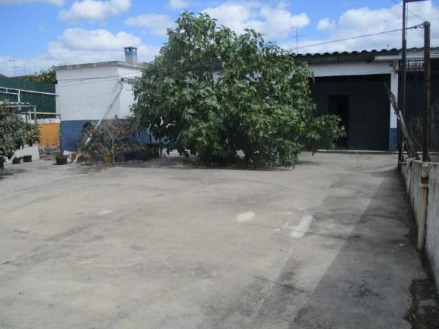 Casa venda em Santarém