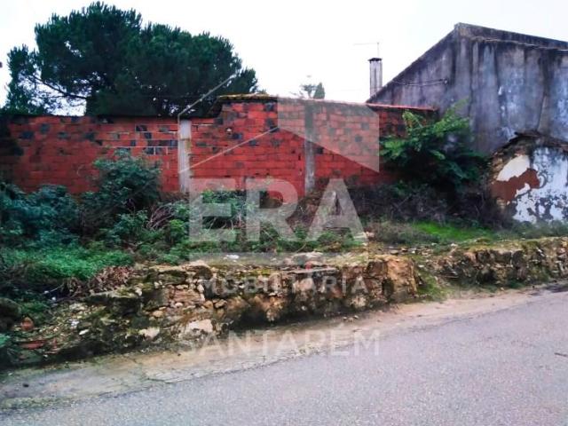 Terreno venda em Santarém