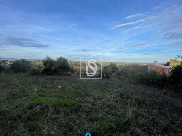 Terreno venda em Santarém