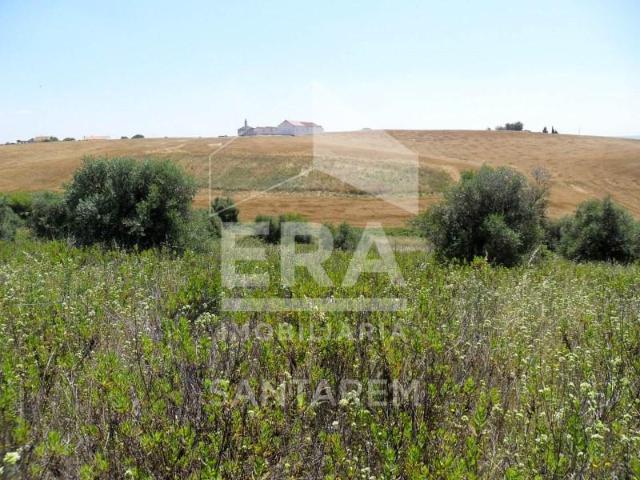Terreno venda em Arneiro dos Borralhos, Santarém